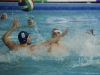 B&B SC Quinto - Chiavari Nuoto-52.jpg