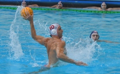 quinto-de-akker-bologna22